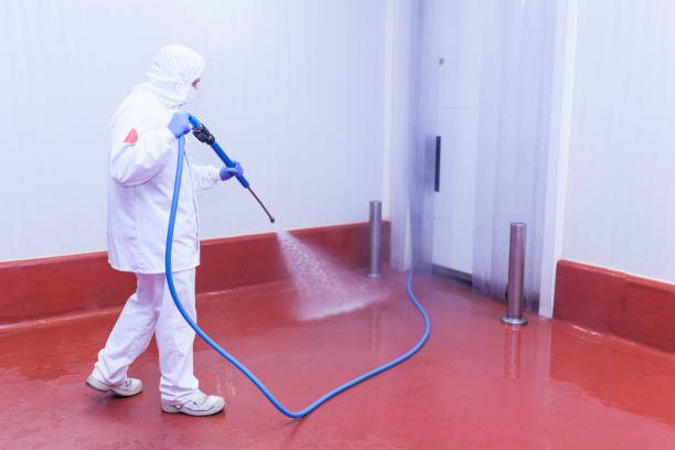 Best Deck and Patio Pressure Washing in Great Falls, MT